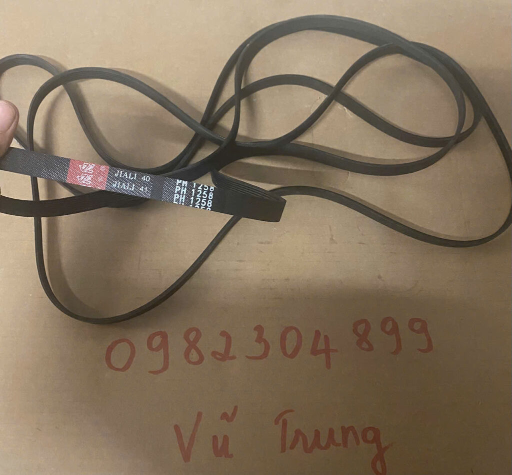 Dây curoa máy giặt Toshiba cửa ngang 1239  hàng zin hãng mới